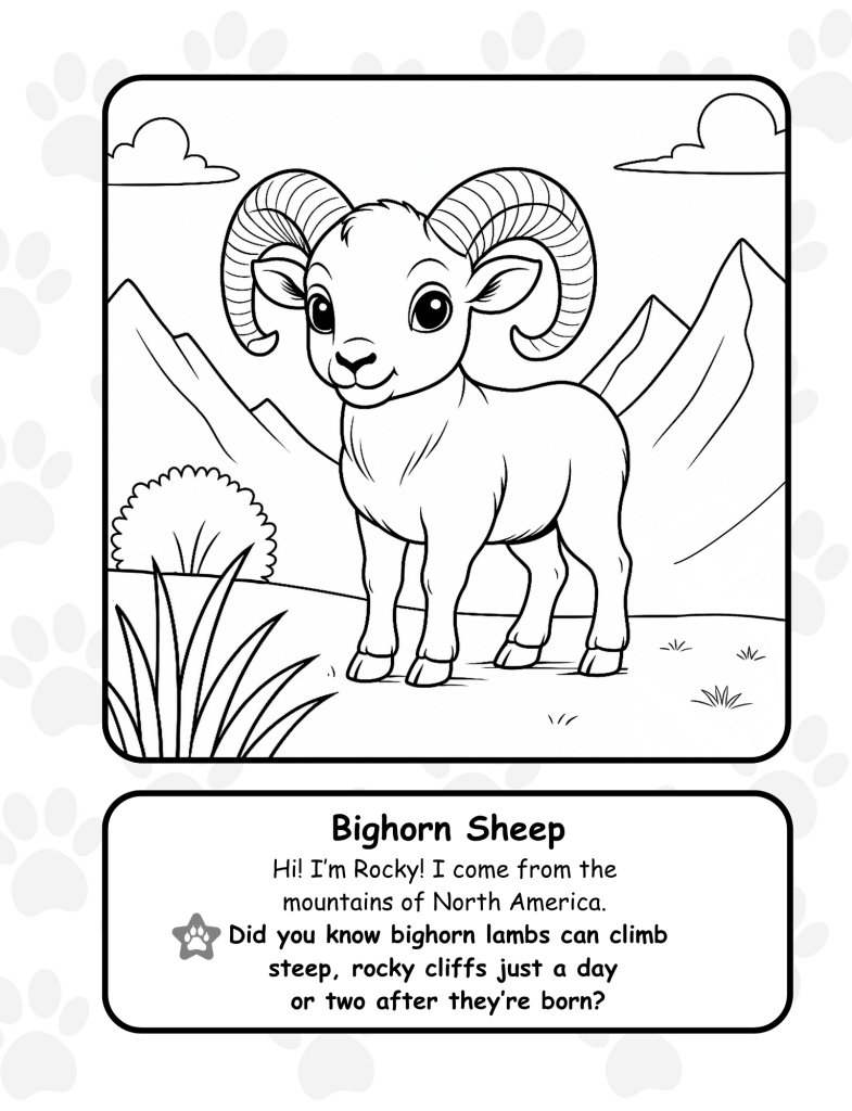 Bighorn Sheep coloring page