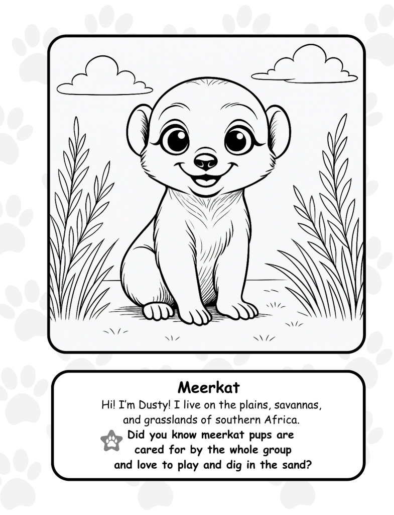 Meerkat coloring page